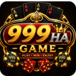 999HA Game